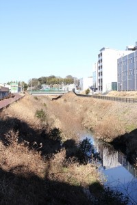 IMG_9416