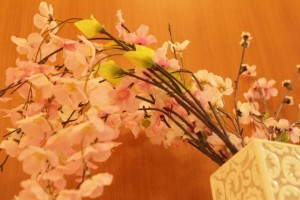 IMG_9660 (640x427)
