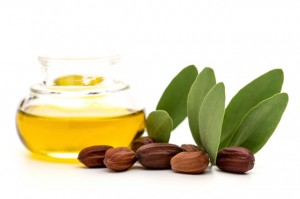 Jojoba oil, seeds and leaves