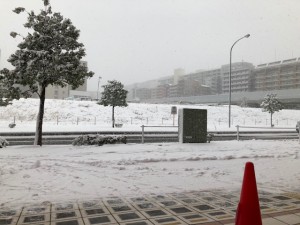 IMG_3239