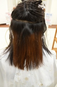 DSC_0068 (532x800)