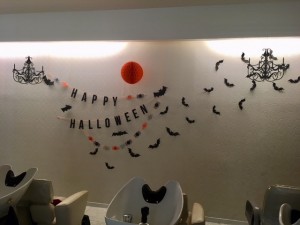 IMG_8252