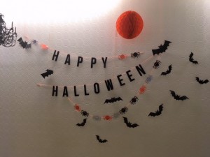 IMG_8253