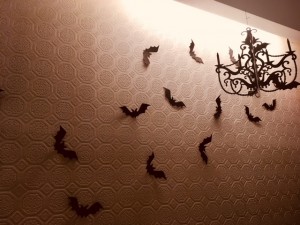 IMG_8258