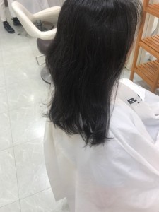IMG_1544