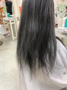 IMG_1566