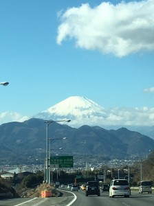 IMG_1574