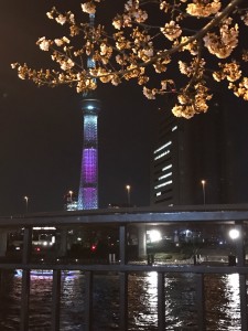 IMG_7693