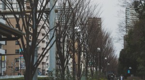 machi160224120I9A0755_TP_V