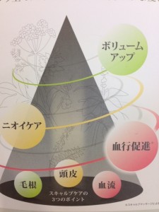 __ 1 (3)