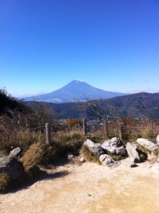 IMG_0326.jpg kisi3