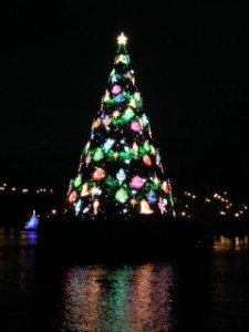 IMG_3591.JPG00