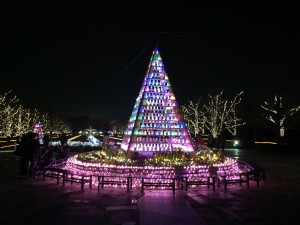 IMG_4645