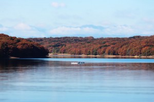 IMG_4900.jpg 1