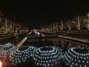 IMG_7594