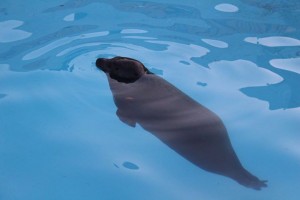 IMG_303768544788512