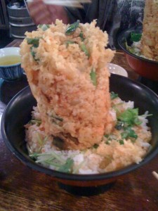IMG_0105.jpg kishi 3