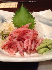 IMG_1551.jpg kishi2