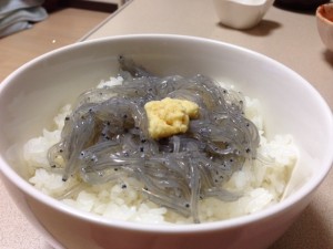 IMG_1632.jpg kishi