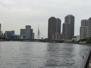 IMG_5374.jpg 岸１