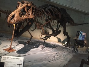 IMG_2878