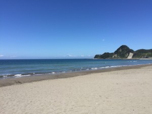 IMG_3421