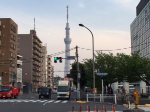 IMG_5321.jpg kishi3