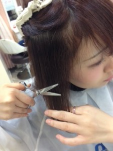 46568image2