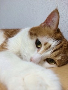 IMG_1027