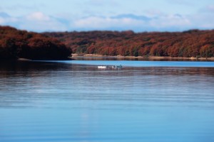 IMG_4899.jpg kishi5