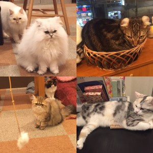 ＠image1