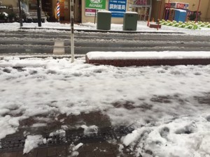 IMG_6335.jpg kishi