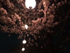 IMG_6629.jpg kishi3
