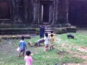 IMG_1079.jpg kish4