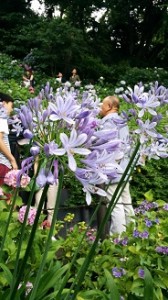 IMG_20160621_151235