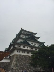 IMG_5623