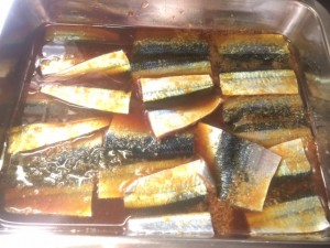 IMG_7531.jpg kishi1