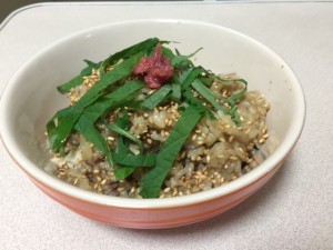 IMG_7537.jpg kishi3