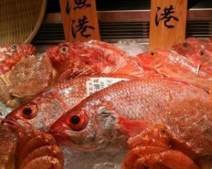 IMG_1051.jpg kishi1