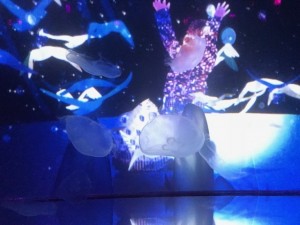 IMG_1453.jpg kishi2