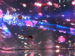 IMG_1454 (003).jpg kishi3