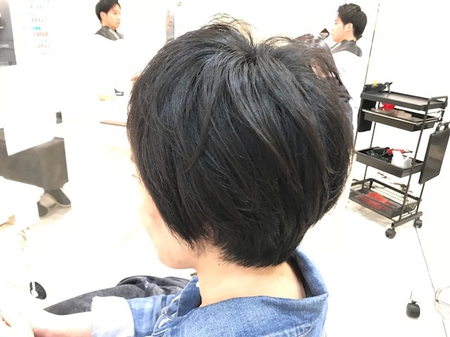 IMG_2355.jpg kishi2