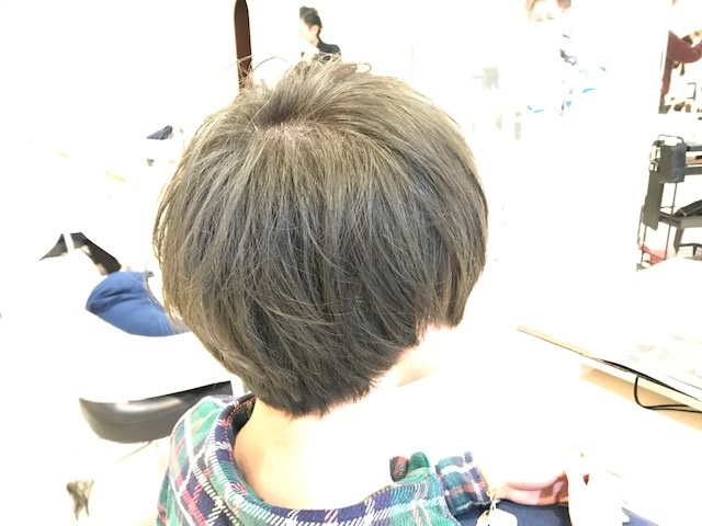 IMG_3228 (002).jpg kishi2