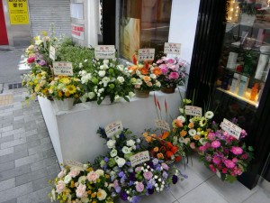DSC03987