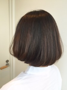 kiku55