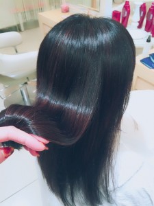 kiku66