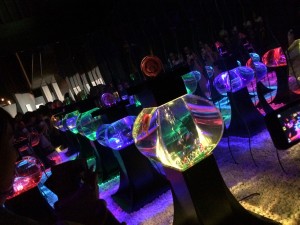 IMG_3518
