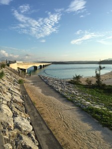 image15