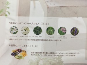 image1 (003)