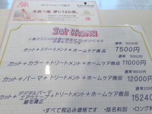 imagesap1 (007)